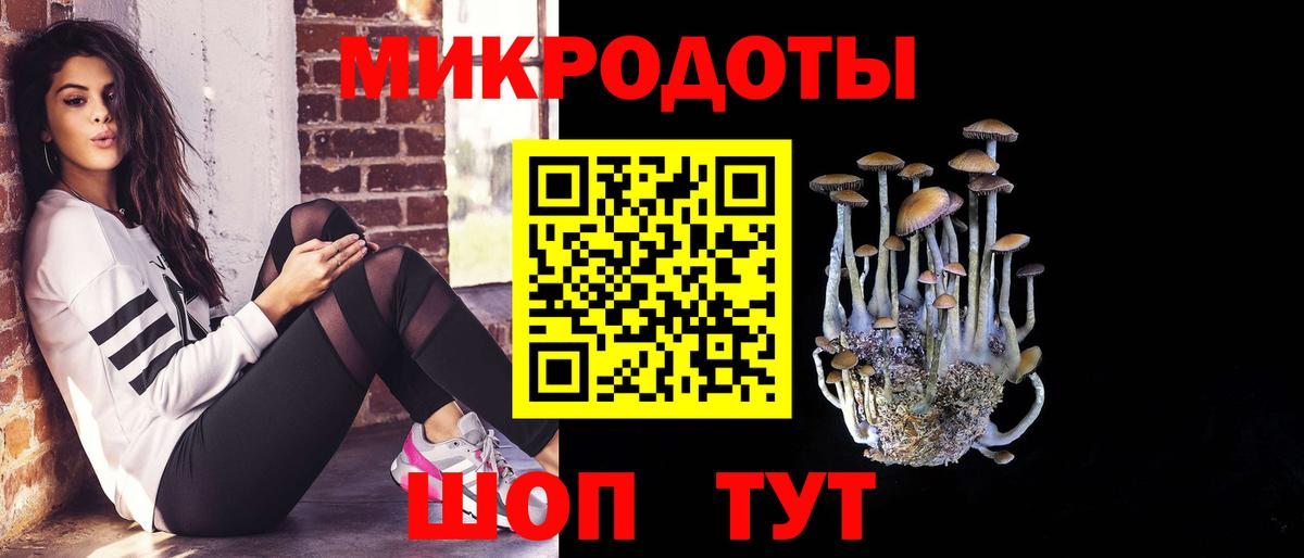 Галлюциногенные грибы Psilocybine cubensis Кудымкар