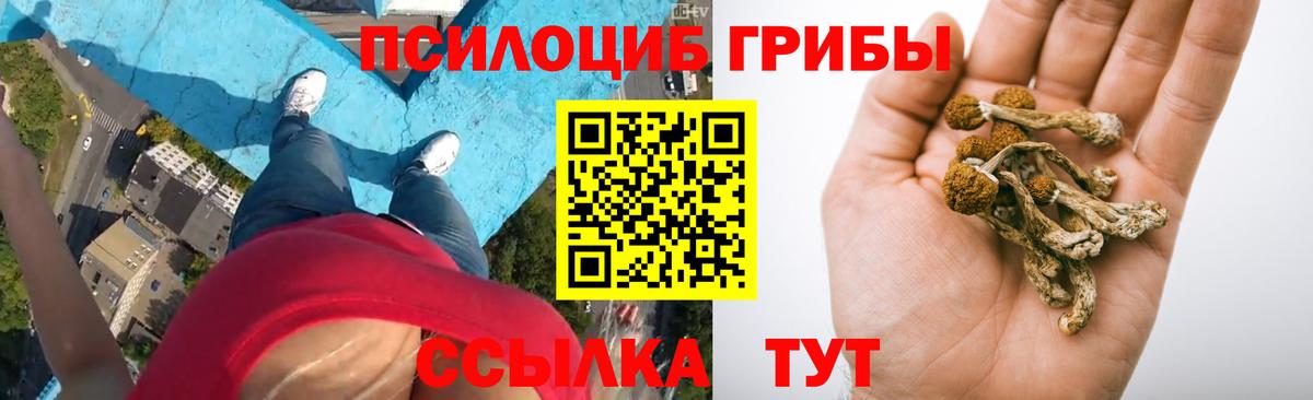 Кудымкар  Псилоцибиновые грибы Psilocybe  наркота  Вход с VPN 